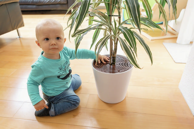 ABUS Plantebeskytter, 2 stk.